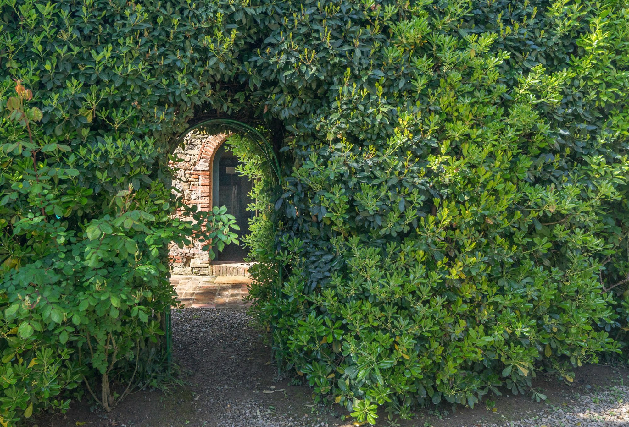 Villa Fattoria Di Mandri Reggello Exterior foto